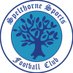 Spelthorne Sports FC (@TheSpellyFC) Twitter profile photo