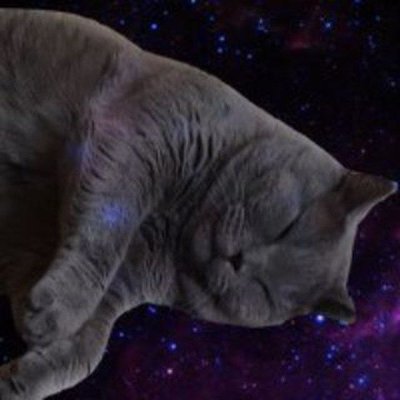 klonez4's profile picture. #Cryptanalysis #BTC #ETH #ADA #XRP #ARB #PERP #APEX #SHIB #PEPE #altcoins Hello everyone, I am sharing cryptocurrency on the cryptocurrency market.