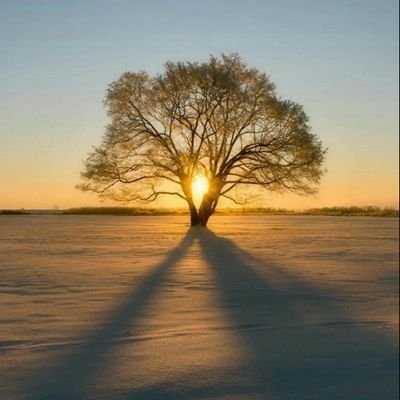 شب در خود تمنای روز دارد و روز تمنای شب. این چرخه بهم تنیده حیات است که با نیرویی از اضداد بحرکت می آید و از قلمرو اکنون به قلمرو اکنون عقل را متکامل میکند