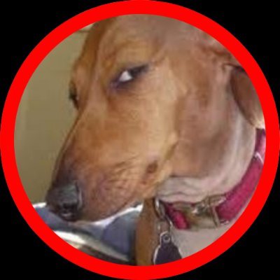 Dawginmedog Profile Picture