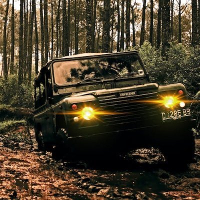 MinervaHen44847's profile picture. 