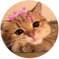 لمى عادل 🕊️ (@lamoosh624) 's Twitter Profile
