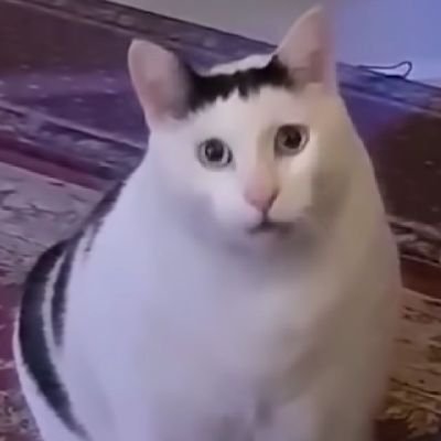 isdarma_sahyan's profile picture. 