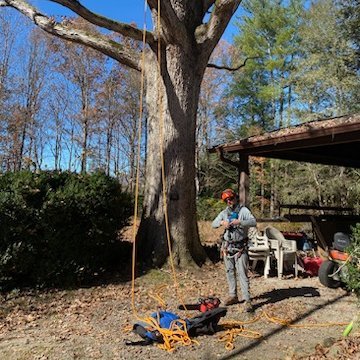 greenteadigital's profile picture. Arborist, climber, owner, Libertree Arbor Care LLC. Retired senior software engineer, father to 3, husband to 1, A.T. 2000 miler, 2001 NOBO.