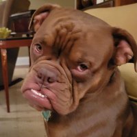 QuantumHooha (@quantamhooha) 's Twitter Profile
