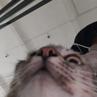 smbptr's profile picture. 160