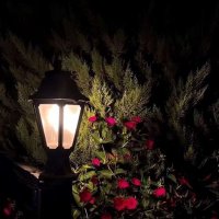 💘Sela (@sall41212sa) Twitter profile photo