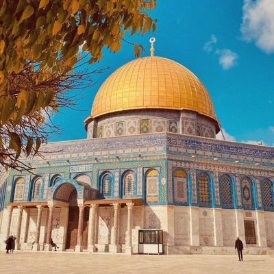 اللهم انصر اخواننا في فلسطين اللهم عليك باليهود المعتدين اللهم شتت جمعهم.        تابعني اتابعك. هكذا الدعم 🔄🔄