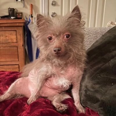 gabiedits2's profile picture. she/her BLM