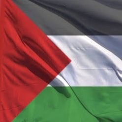 tekinnbarlak's profile picture. 