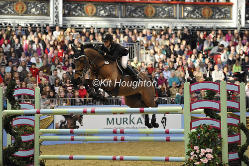 *International Show Jumper *Ranked number 1 young rider in the country*  looking for sponsors email me if interested chloeaston1994@hotmail.co.uk
