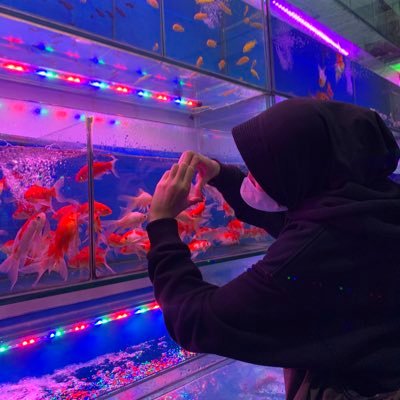 Gabut Everyday