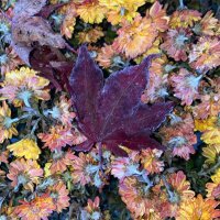 … (@buntbuntbunt) 's Twitter Profile