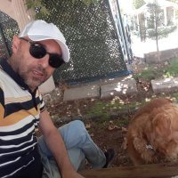 cengiz (@mca_023) 's Twitter Profile
