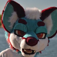 Yukon 🐺 Arvo 🦊(@yukonbarksalot) 's Twitter Profile Photo