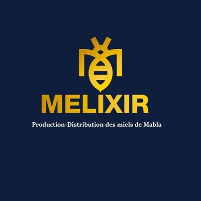 Production et commercialisation du miel de Monts Mabla