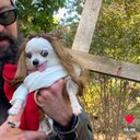 Bailey Rivers - @BaileyDave47097 - Twitter