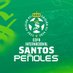 Copa Santos Peñoles (@CopaSantosP) Twitter profile photo