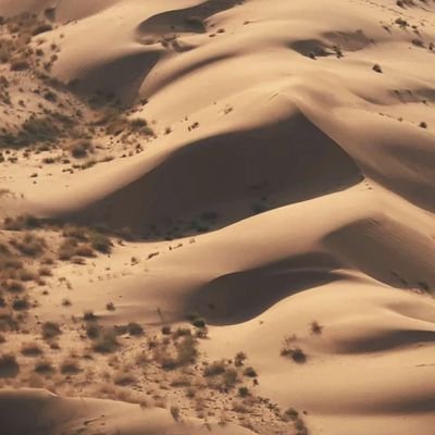 ua6ODVri54lqzV7's profile picture. 