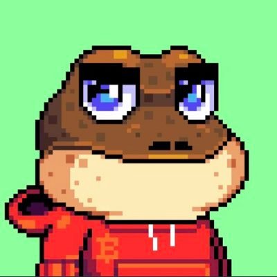 SouthGough's profile picture. $DOG