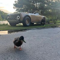 Howard Nate (@howardnate99262) 's Twitter Profile