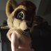 Sock Stealing Ferret ๐งฆ (@kbludd) Twitter profile photo Sock Stealing Ferret ๐งฆ (@kbludd) Twitter profile photo