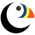 Rebecca Nason (@puffinpassion) Twitter profile photo Rebecca Nason (@puffinpassion) Twitter profile photo
