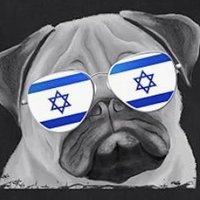 Dude For Israel ✡️ 🇮🇱 (@ifyouwillitdude) 's Twitter Profile