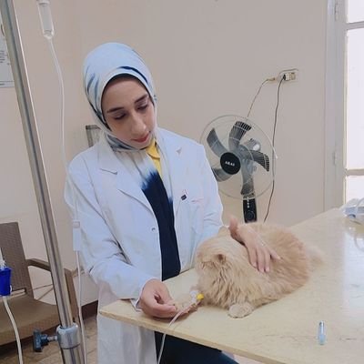 veterinarian 🐴.. SCU ❤
Level 5✨