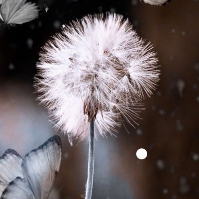 ChristineP49877's profile picture. 