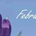 Jackie Grayson - @FebruaryKnits - Twitter