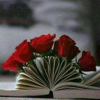 مندوب ابها هدايا توصيل ورد ابها (@2030giftss) 's Twitter Profile