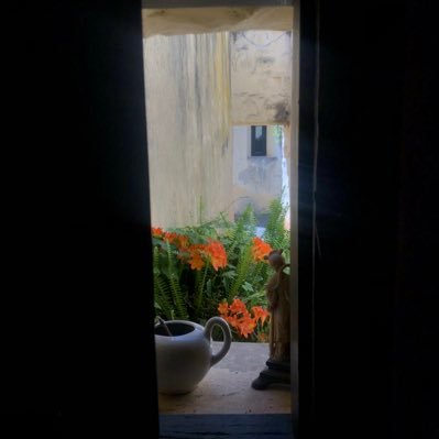 ChishaSita's profile picture. 