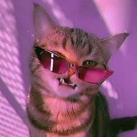 Nuray (@yeterartikgulme) 's Twitter Profile