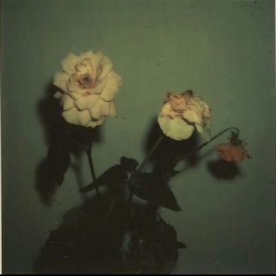 _SlevinKalevra's profile picture. 🌎:Gemini. Naledi.* Fucked Around and Fell From the Ceilling.