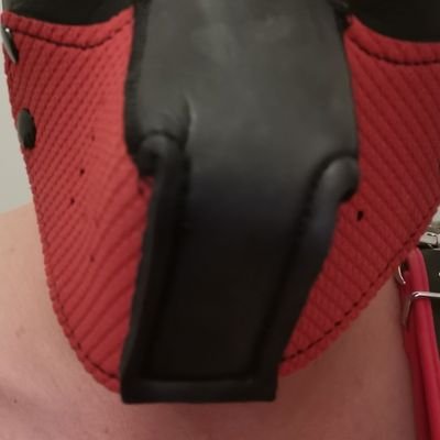 slmpig87's profile picture. 