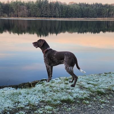 DrTec1960's profile picture. PhD Computational Mathematician: Specialising in finding structure and understandable information in very large data sets and networks.