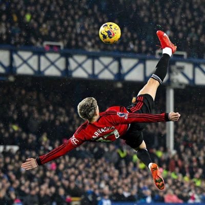 utdeaa's profile picture. MANCHESTER UNITED