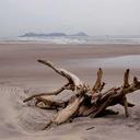 Jackie Ryals - @JackieRyals - Twitter