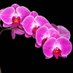 RNAseq_software (@rnaseqs) Twitter profile photo RNAseq_software (@rnaseqs) Twitter profile photo