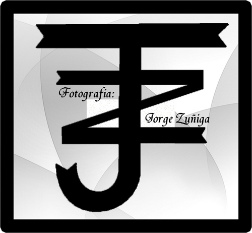 FOTOGRAFO y VIDEO - BOOK, MODA, REINADOS, CASTING para MODELOS PUBLICIDAD EVENTOS https://t.co/DS5VlEQxM3