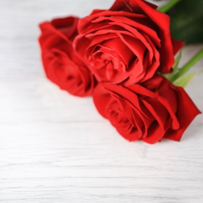 loislane1970's profile picture. 