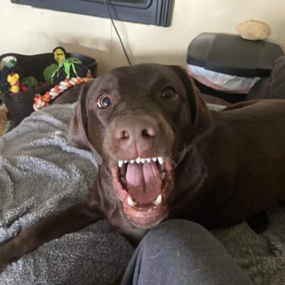 Chel198142's profile picture. 