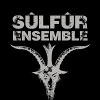 SÜLFÜR ENSEMBLE (@sulfurensemble) Twitter profile photo