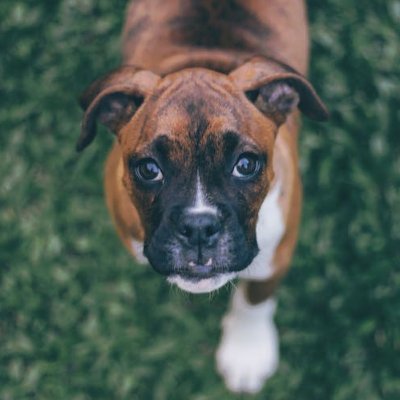 NellieLaws65810's profile picture. 