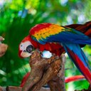 Kristin Barton - @barton47206 - Twitter