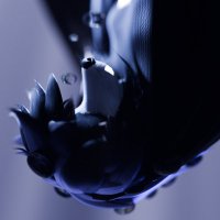 Rose_ (@rosecreates_) Twitter profile photo