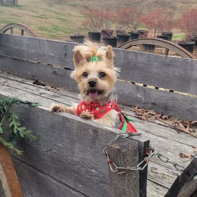 TeresaHern15334's profile picture. 