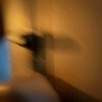 ShunTaylor14's profile picture. 