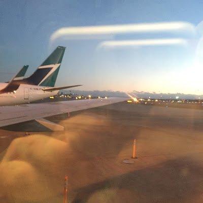 ElonForcedMe's profile picture. 